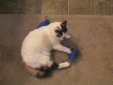 Charlie with Swatch