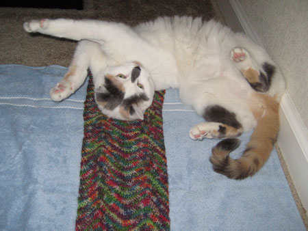 Charlie loves Chevron Scarf