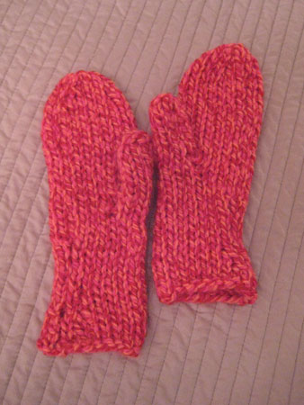 Mittens - Soaring Eagles Project