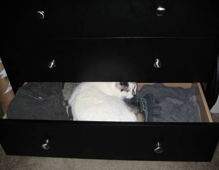 Of course, Charlie noticed