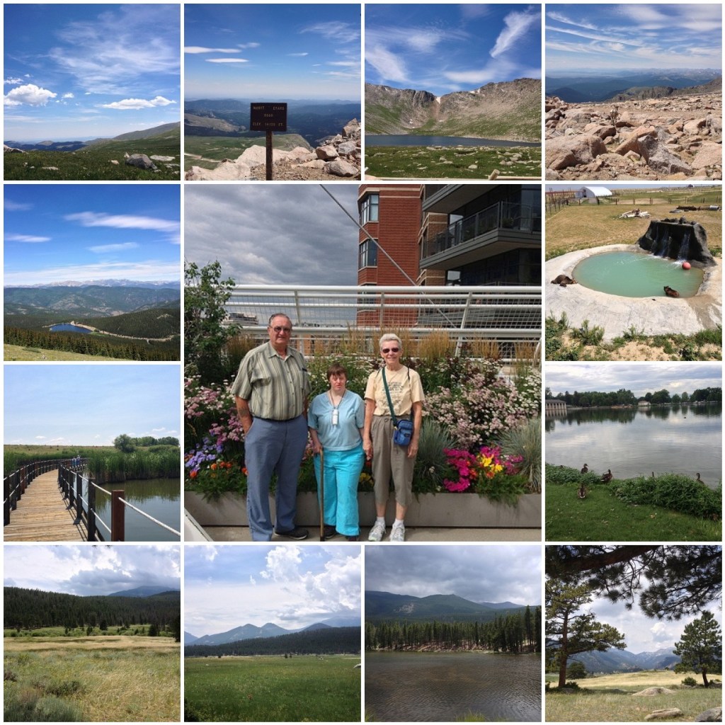 Family Vacation Mosaic